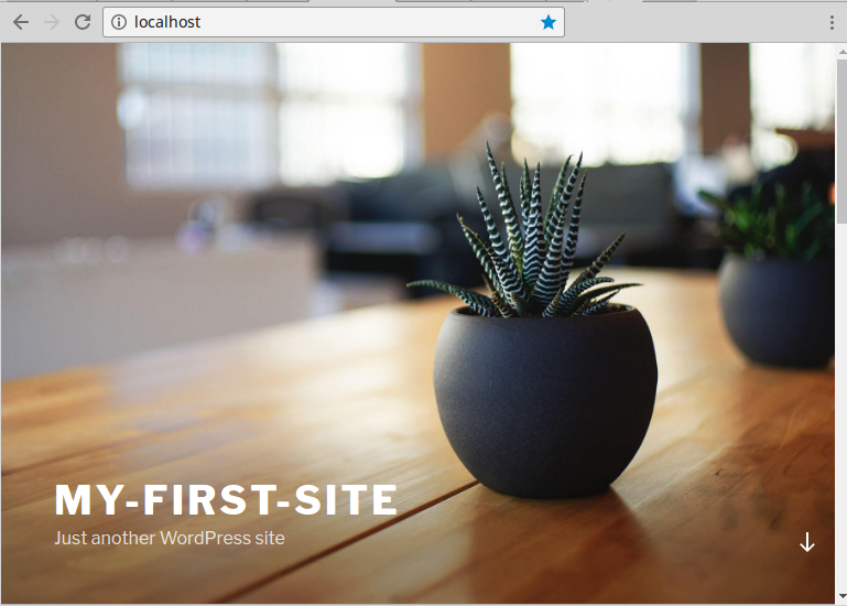 localhost-succulent.png